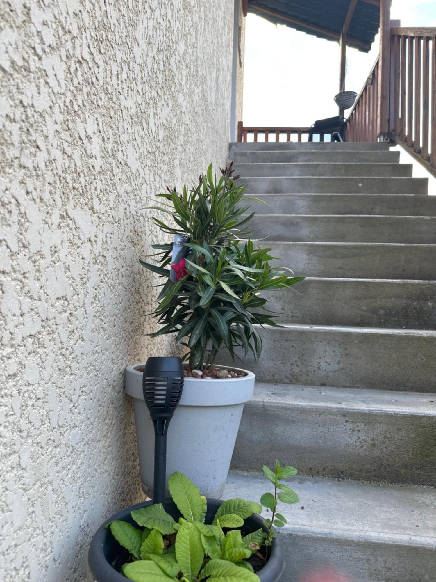 Sybelle Appart Scionzier Exterior photo